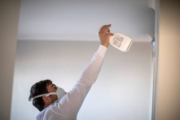 Best Residential Mold Remediation in Wildwood, FL